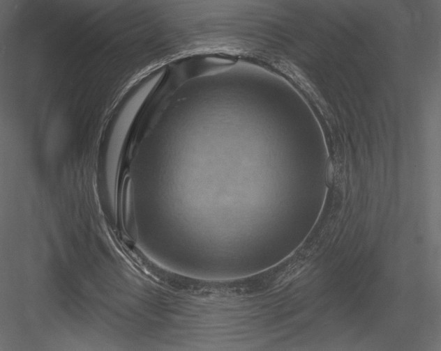 X0000083970434200702232022
