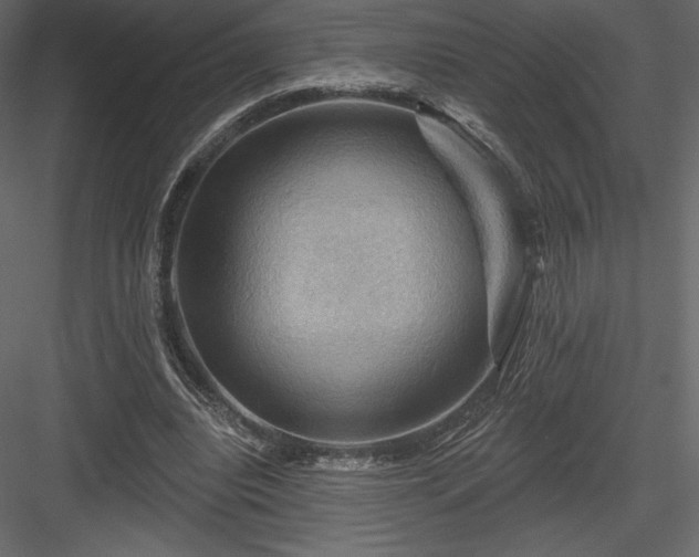 X0000083970440200702232022