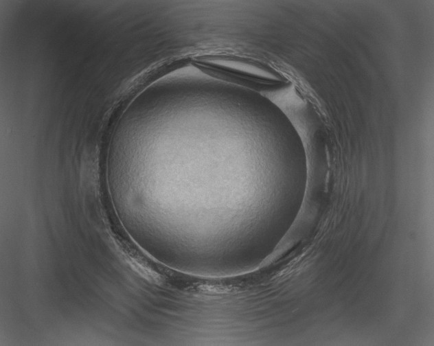 X0000083970442200702232022