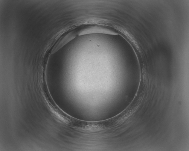 X0000083970445200702232022