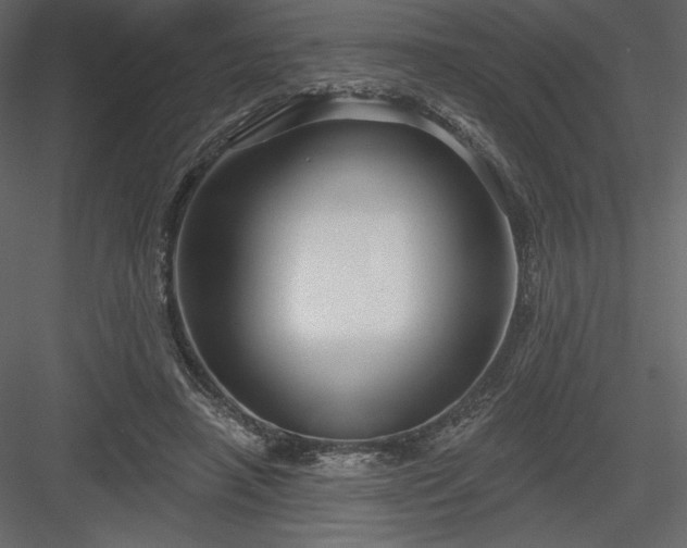 X0000083970450200702232022