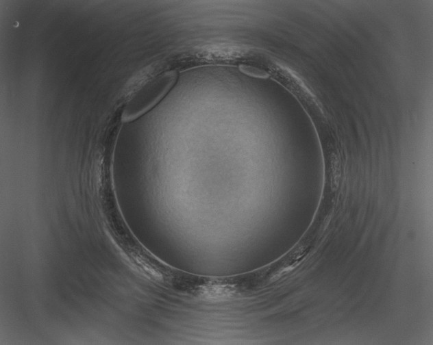 X0000083970451200702232022