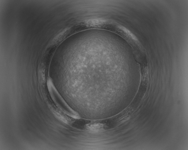 X0000083970452200702232022