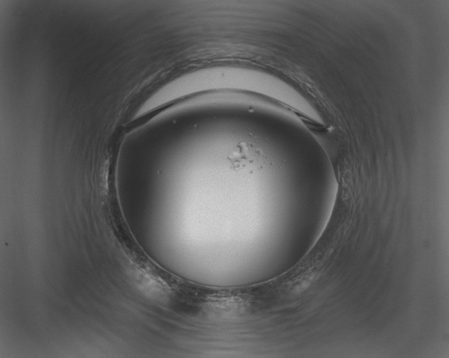 X0000083970454200702232022
