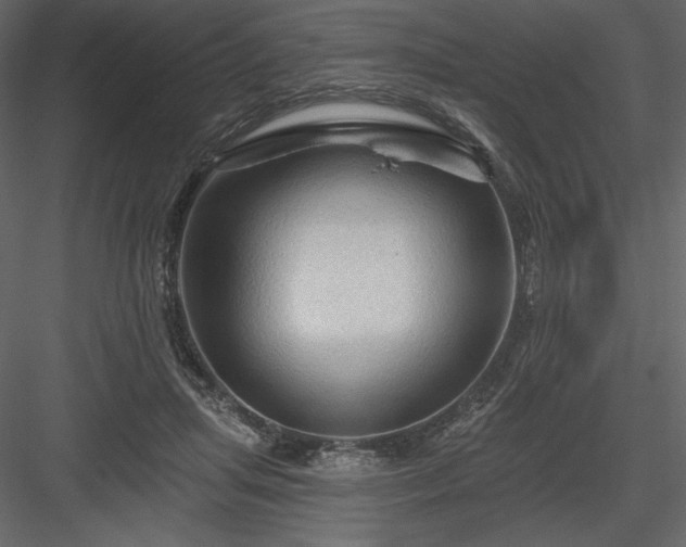 X0000083970455200702232022