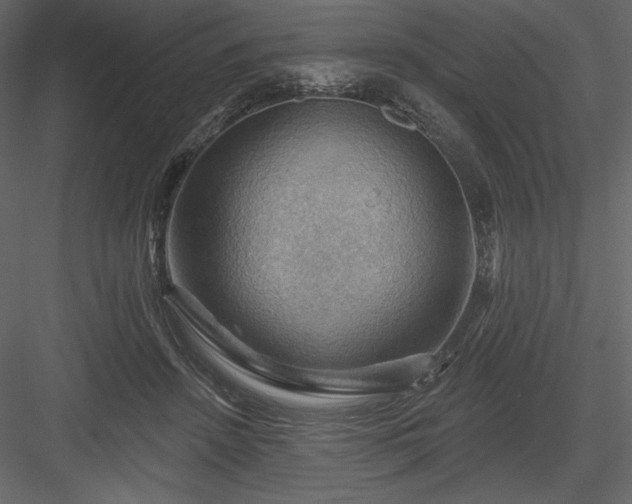 X0000083970456200702232022