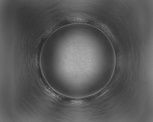 X0000083970457200702232022