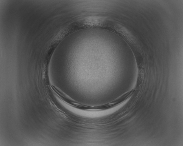 X0000083970458200702232022