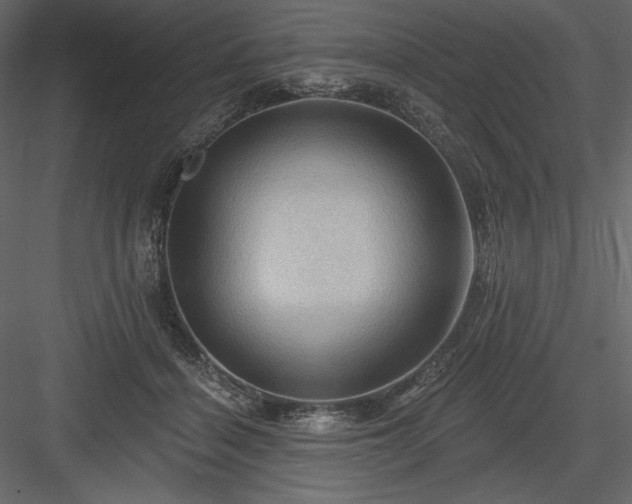 X0000083970460200702232022