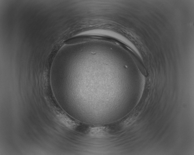 X0000083970461200702232022