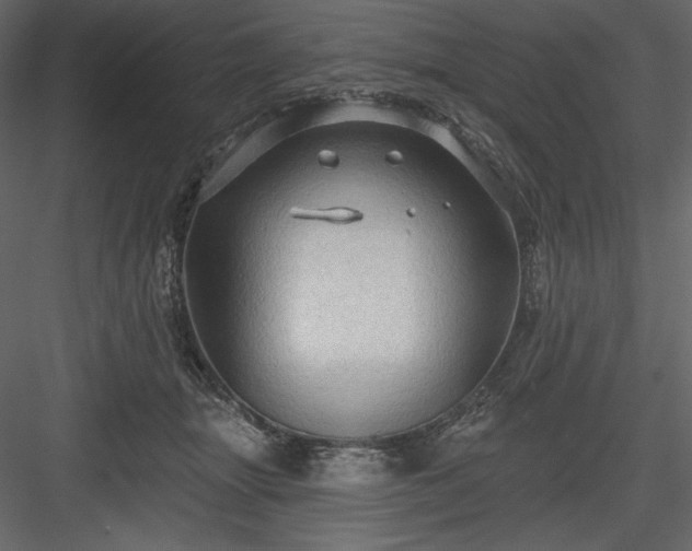 X0000083970463200702232022