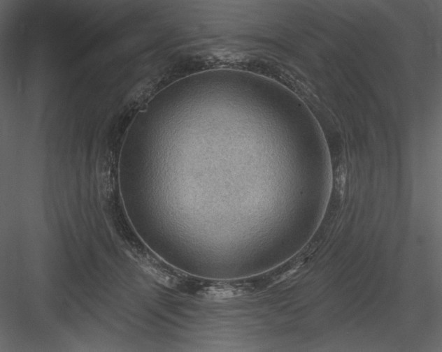 X0000083970464200702232022
