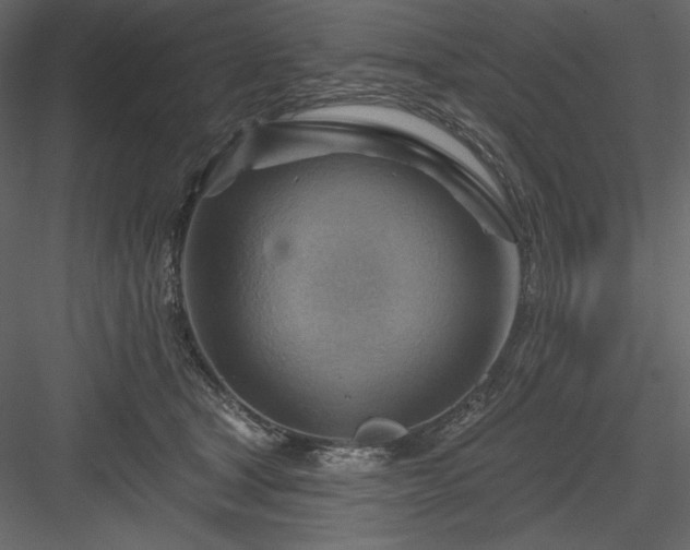 X0000083970465200702232022