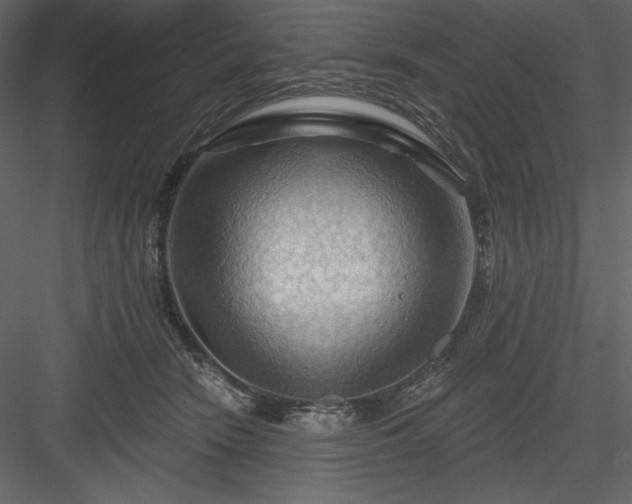 X0000083970466200702232022
