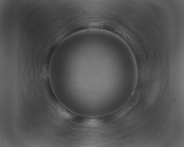 X0000083970467200702232022