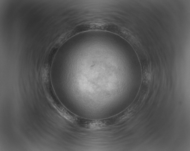 X0000083970468200702232022