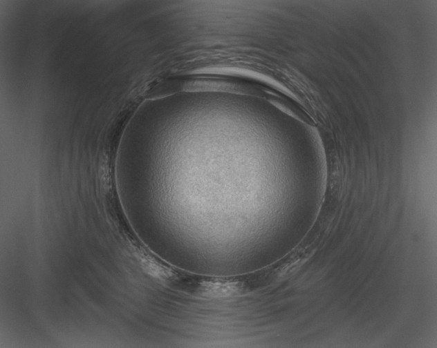 X0000083970469200702232022
