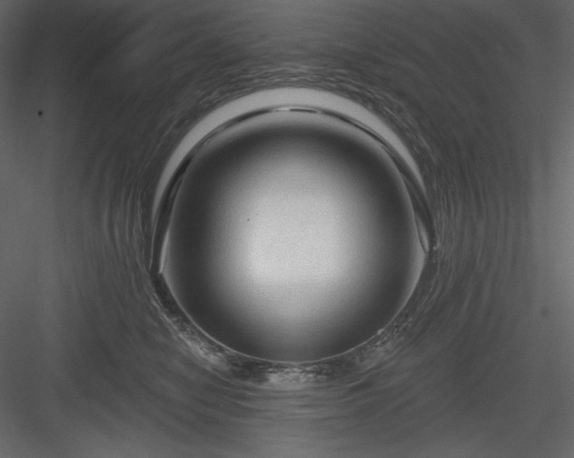X0000083970470200702232023