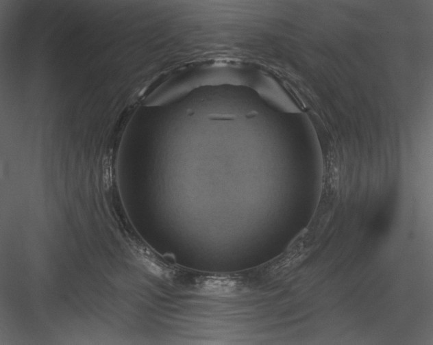 X0000083970471200702232023