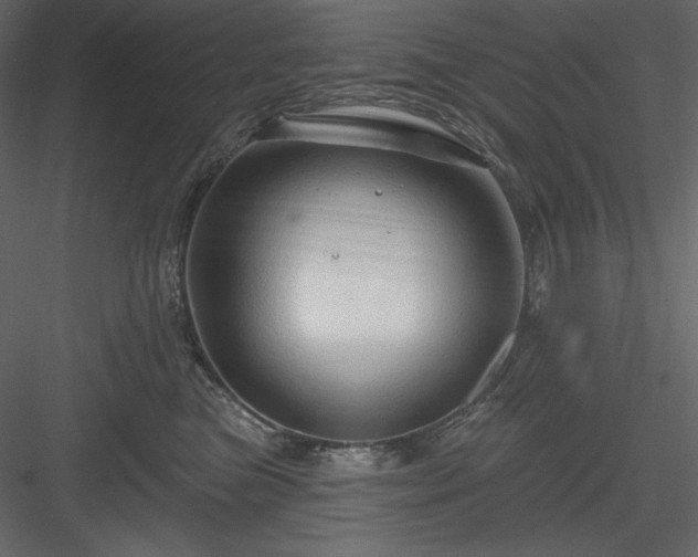 X0000083970473200702232023