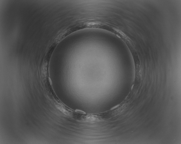 X0000083970475200702232023