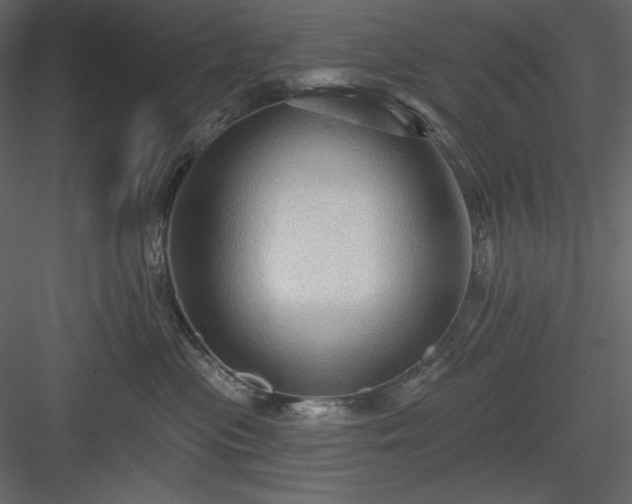 X0000083970477200702232023