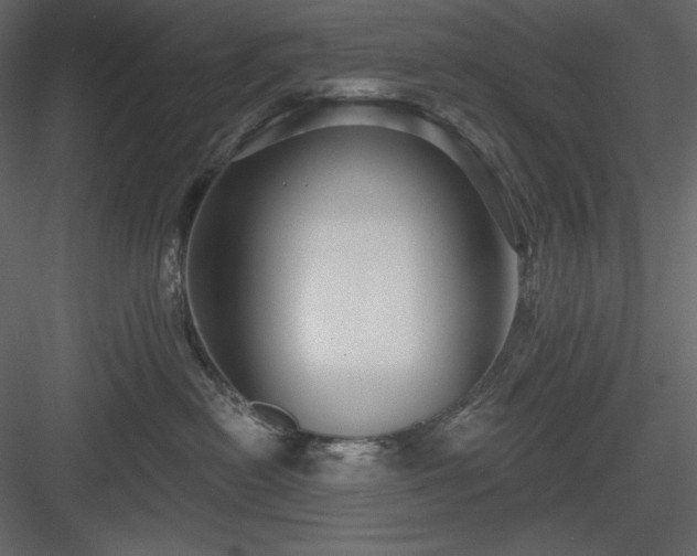 X0000083970478200702232023
