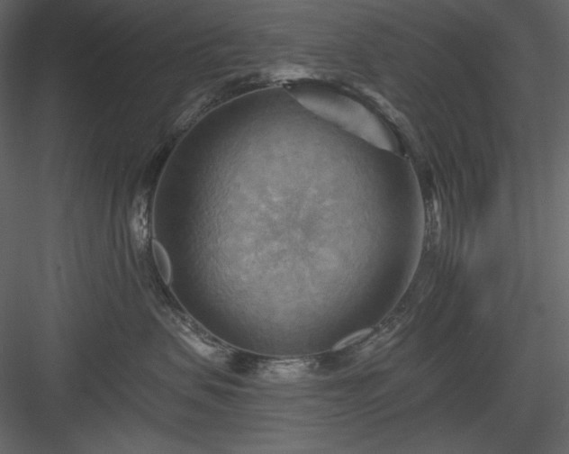 X0000083970479200702232023