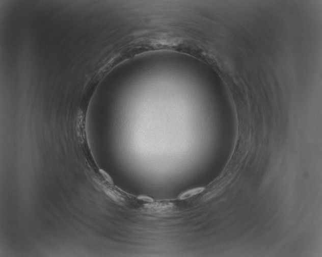 X0000083970480200702232023