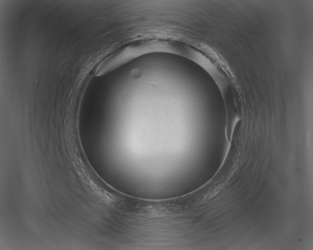 X0000083970481200702232022