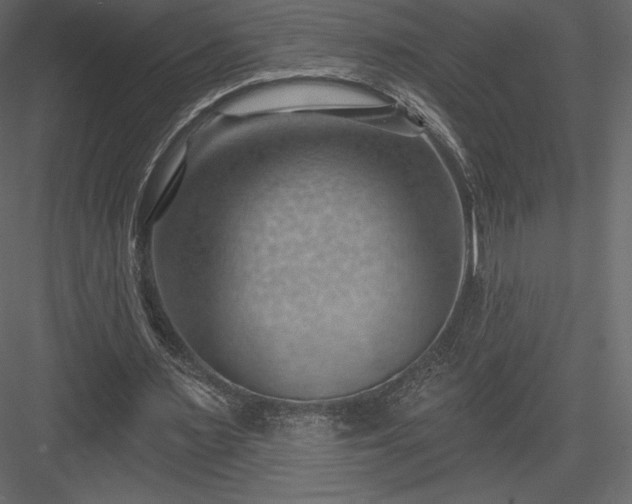 X0000083970483200702232022