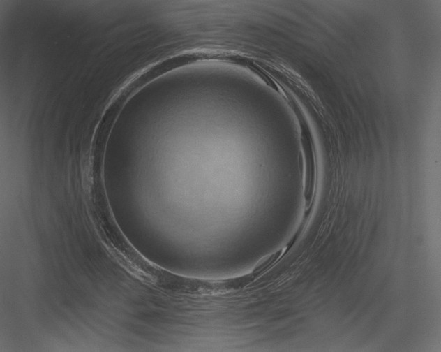 X0000083970484200702232022