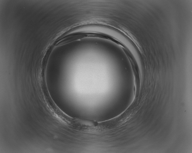 X0000083970485200702232022