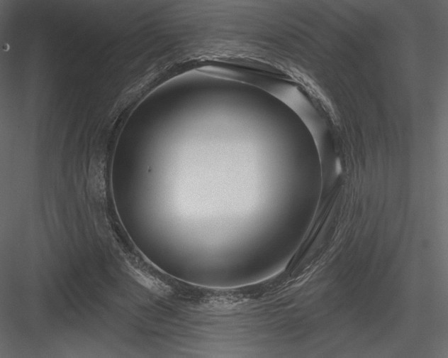 X0000083970489200702232022