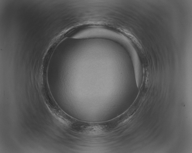 X0000083970492200702232022
