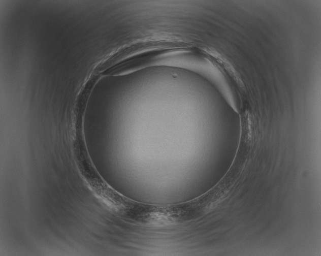 X0000083970496200702232022