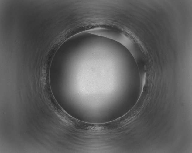 X0000083970497200702232022