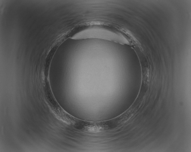 X0000083970500200702232021
