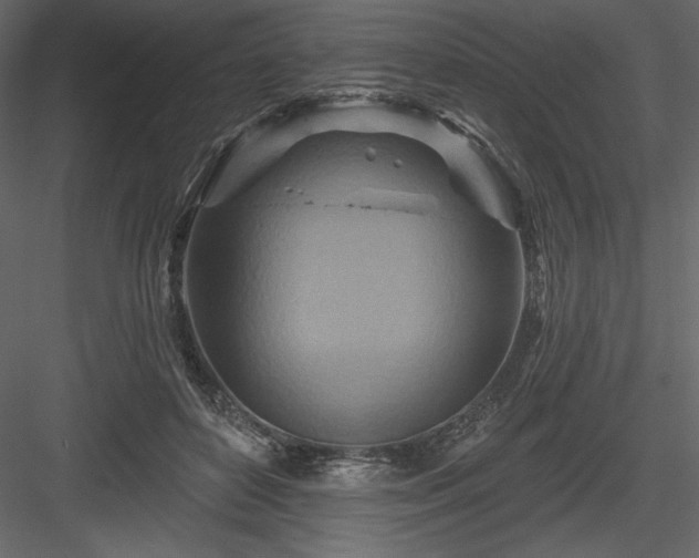 X0000083970504200702232021