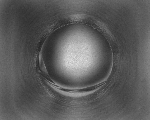 X0000083970505200702232021