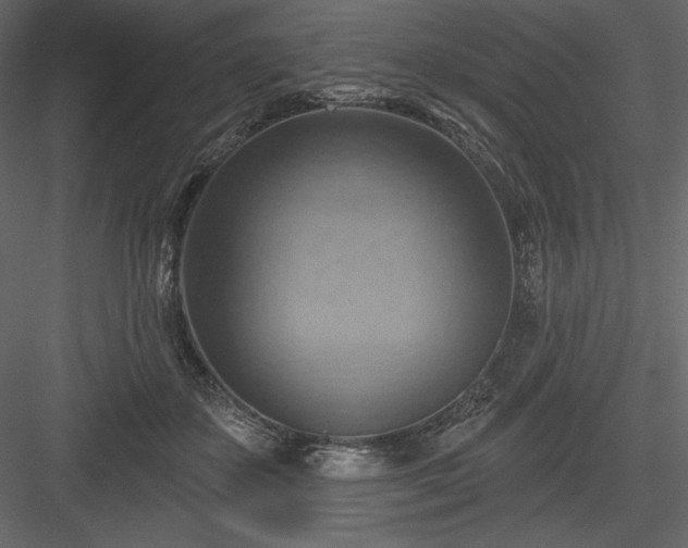 X0000083970507200702232021