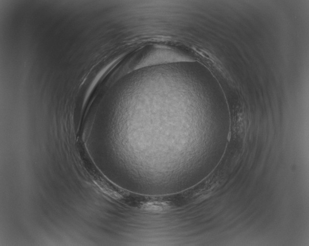 X0000083970508200702232021