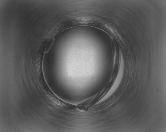 X0000083970509200702232021