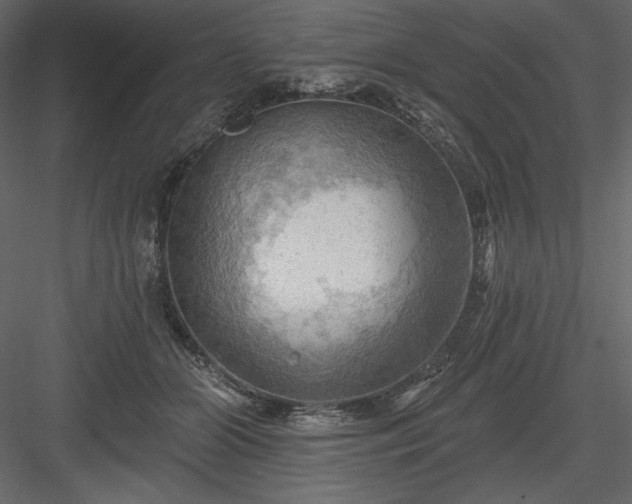 X0000083970510200702232021