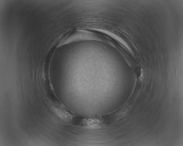 X0000083970512200702232021