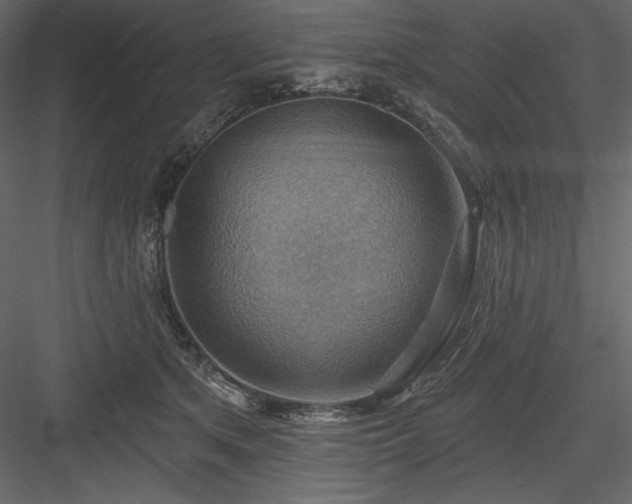 X0000083970513200702232021