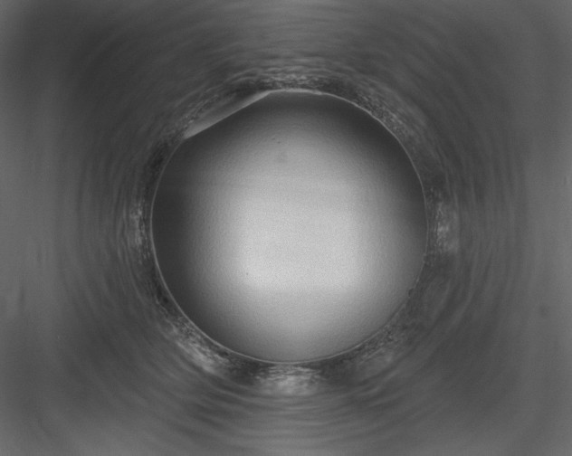 X0000083970514200702232021