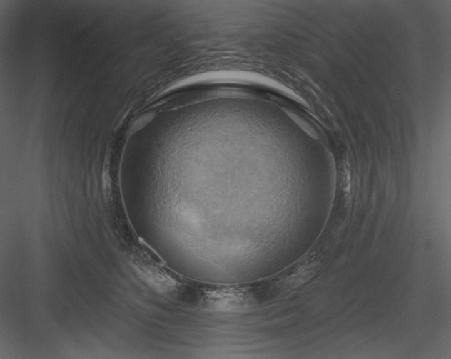 X0000083970516200702232021