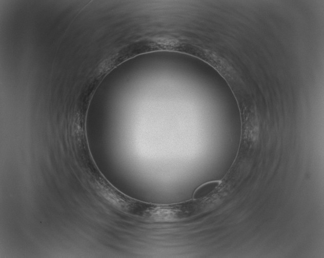 X0000083970518200702232021