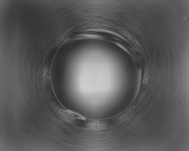 X0000083970521200702232021